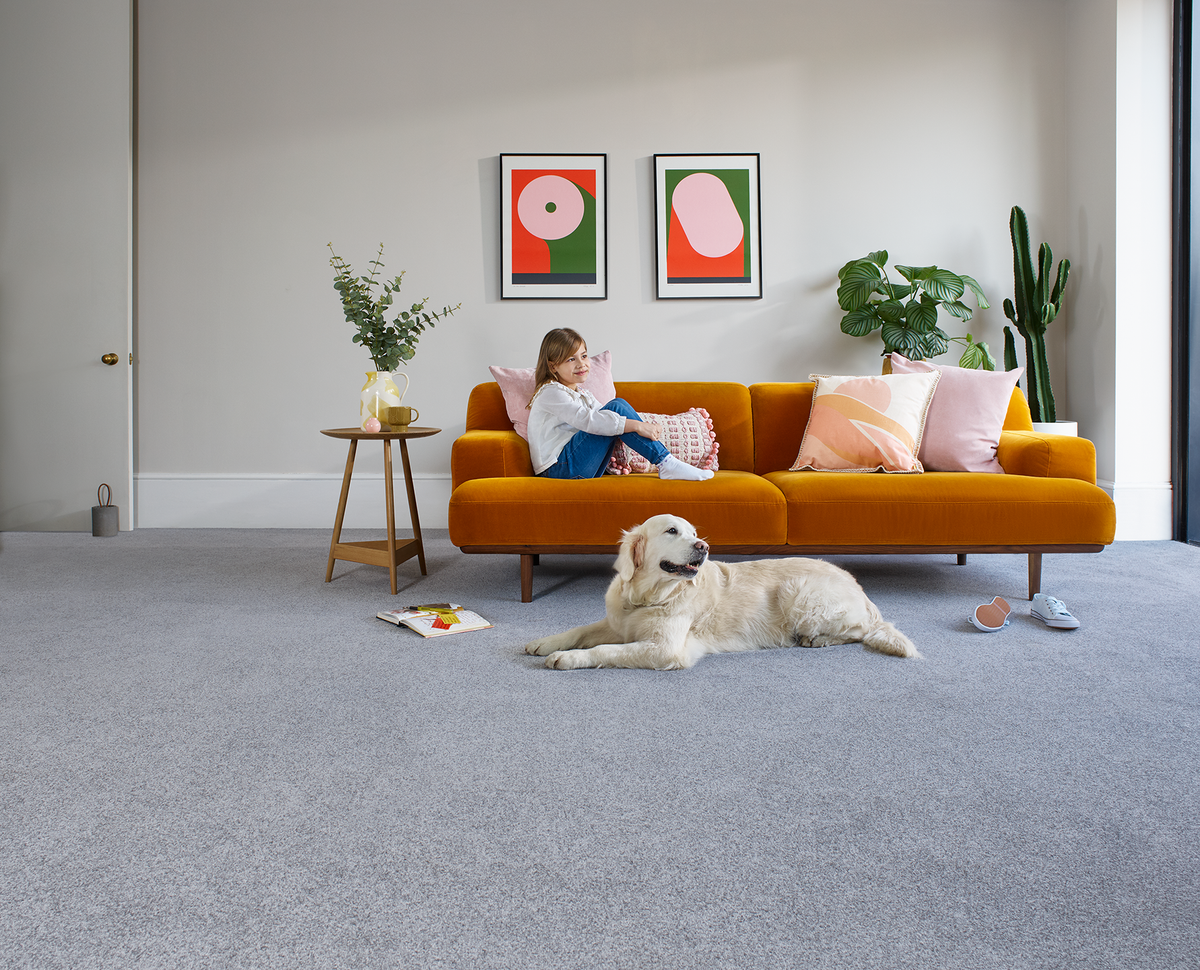 Trojan Plus Carpet
