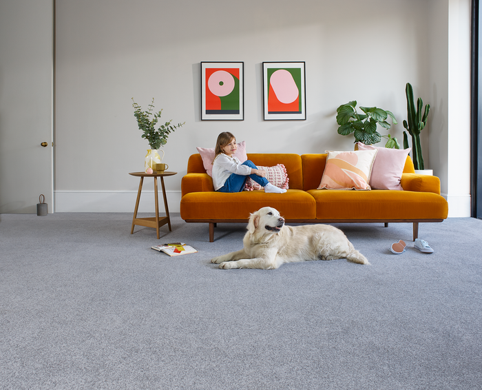 Trojan Plus Carpet