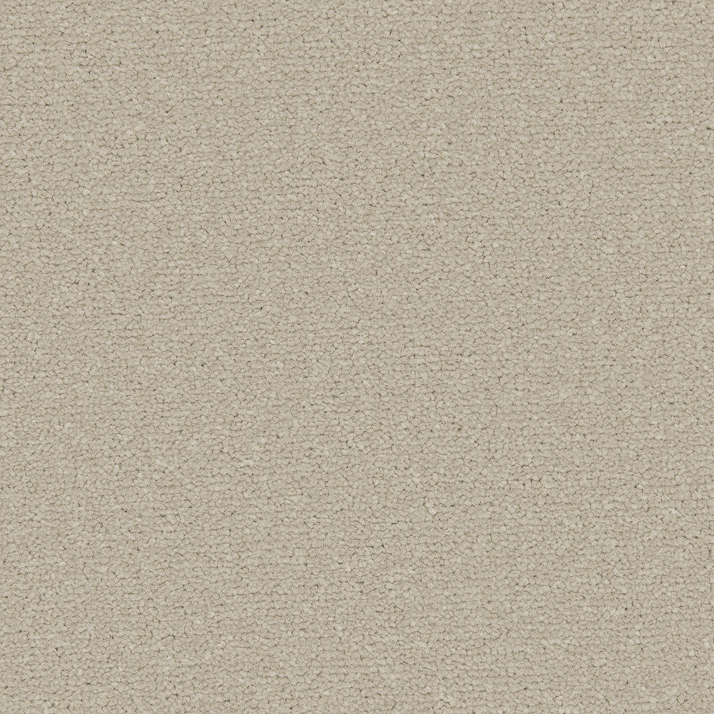 Trojan Plus Carpet
