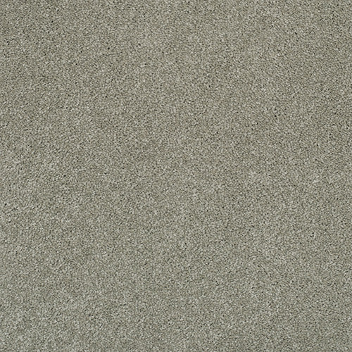 Pandora Carpet