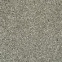 Pandora Carpet