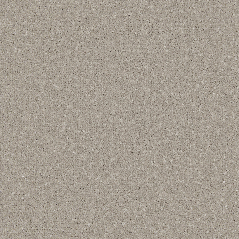 Trojan Plus Carpet