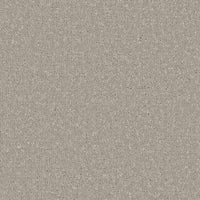 Trojan Plus Carpet