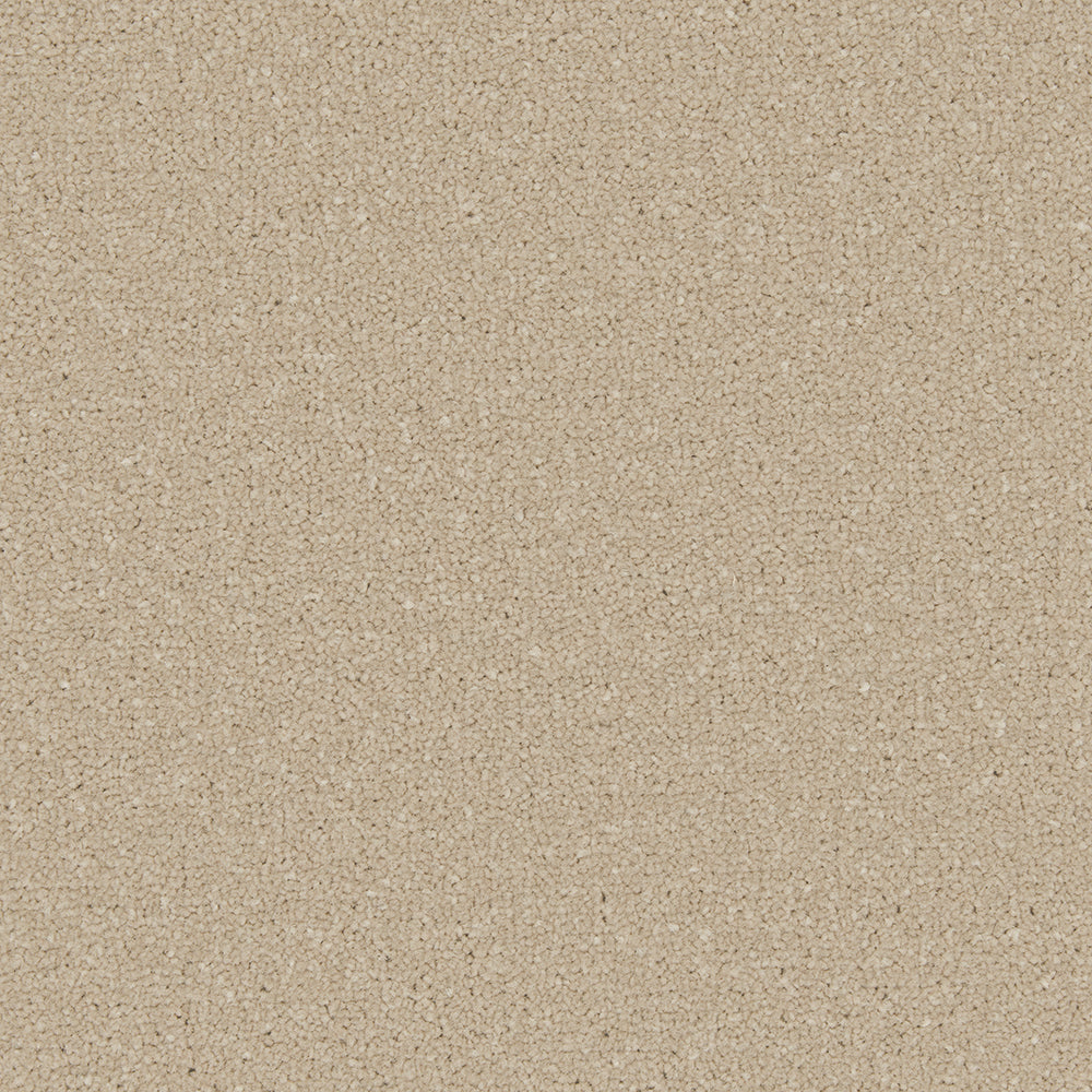 Trojan Plus Carpet