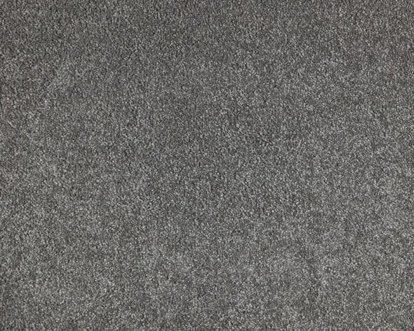 Affectionate Touch Carpet