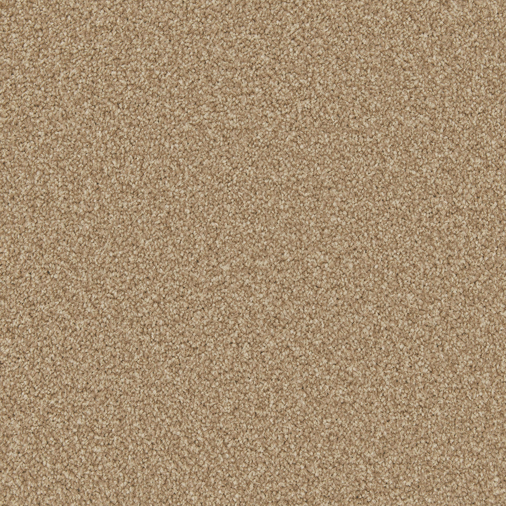 Trojan Plus Carpet