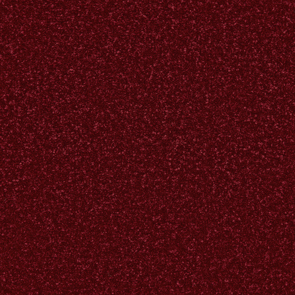 Trojan Plus Carpet