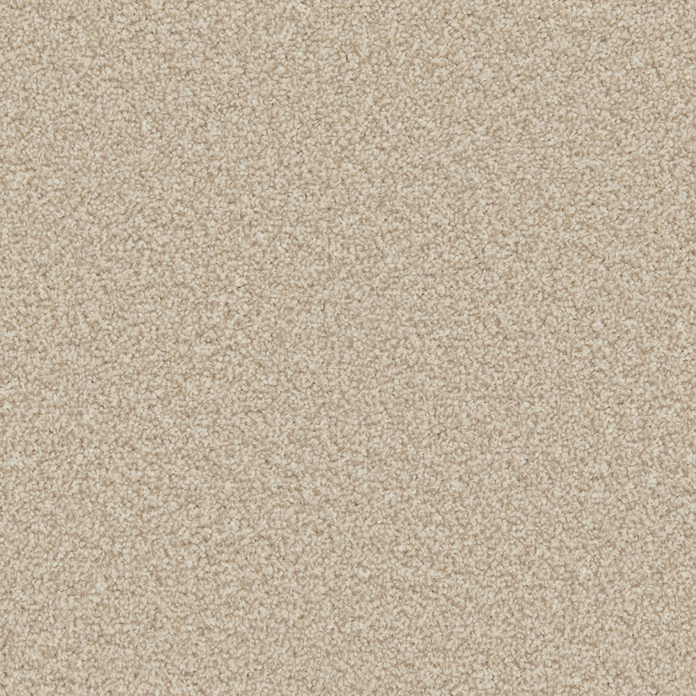 Trojan Plus Carpet