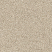 Trojan Plus Carpet