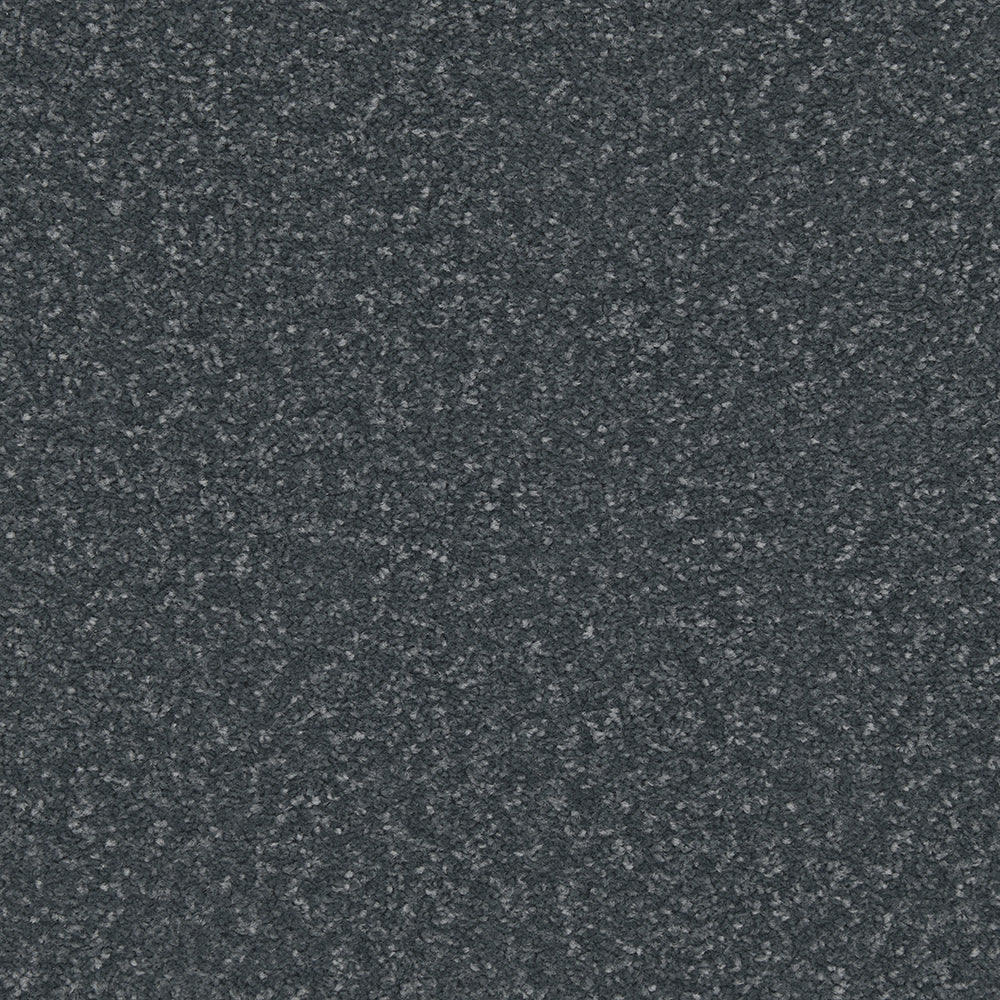 Trojan Plus Carpet