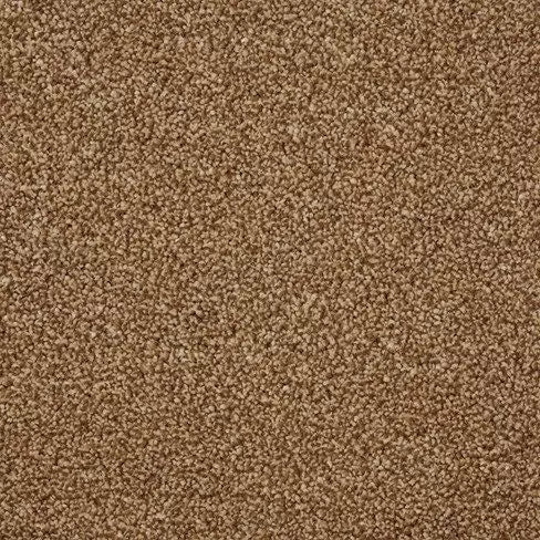 Smart Amazon Carpet