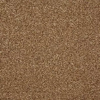 Smart Amazon Carpet