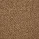 Smart Amazon Carpet