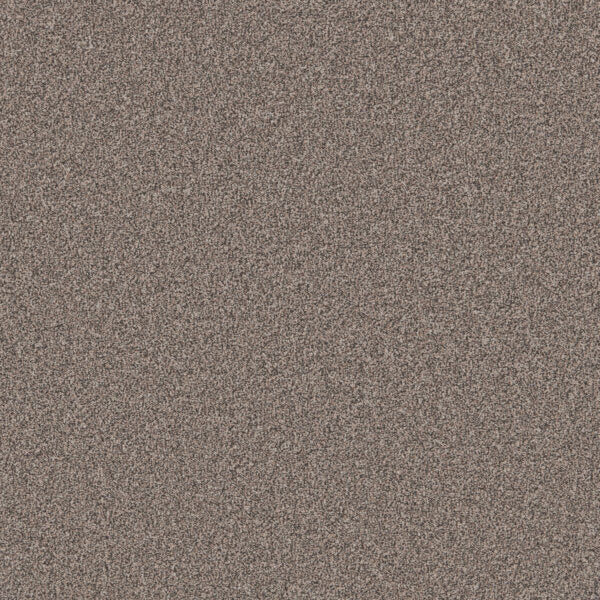 Easy Living Heathers