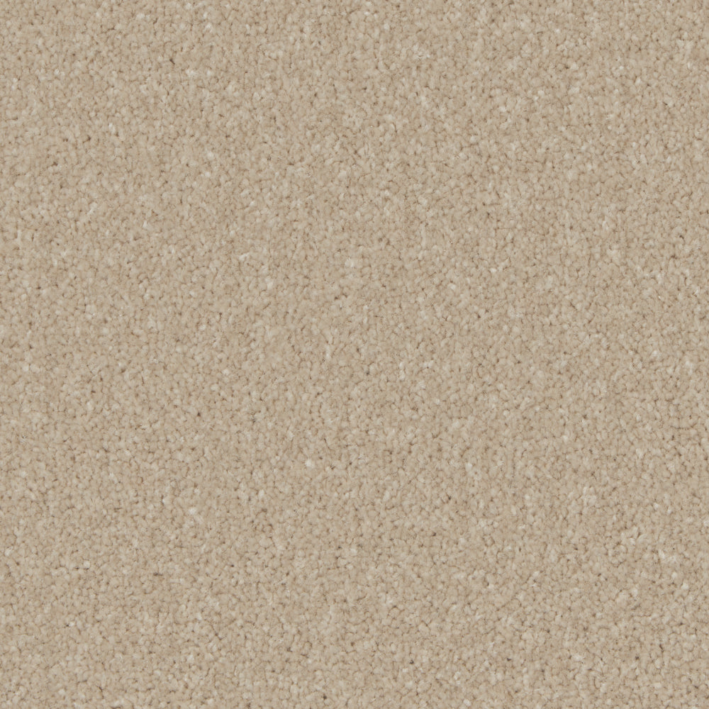 Portmore Elite 42oz Carpet