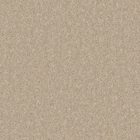 Portmore Elite 42oz Carpet