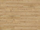 Polyflor Expona Commercial LVT Flooring