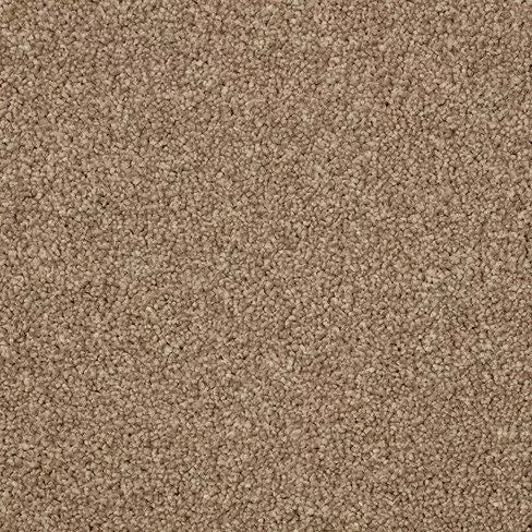 Smart Amazon Carpet