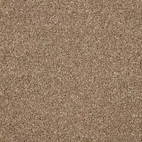 Smart Amazon Carpet