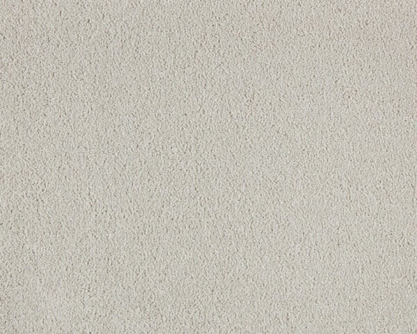 Affectionate Touch Carpet