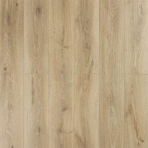 Sylvain 12mm Laminate