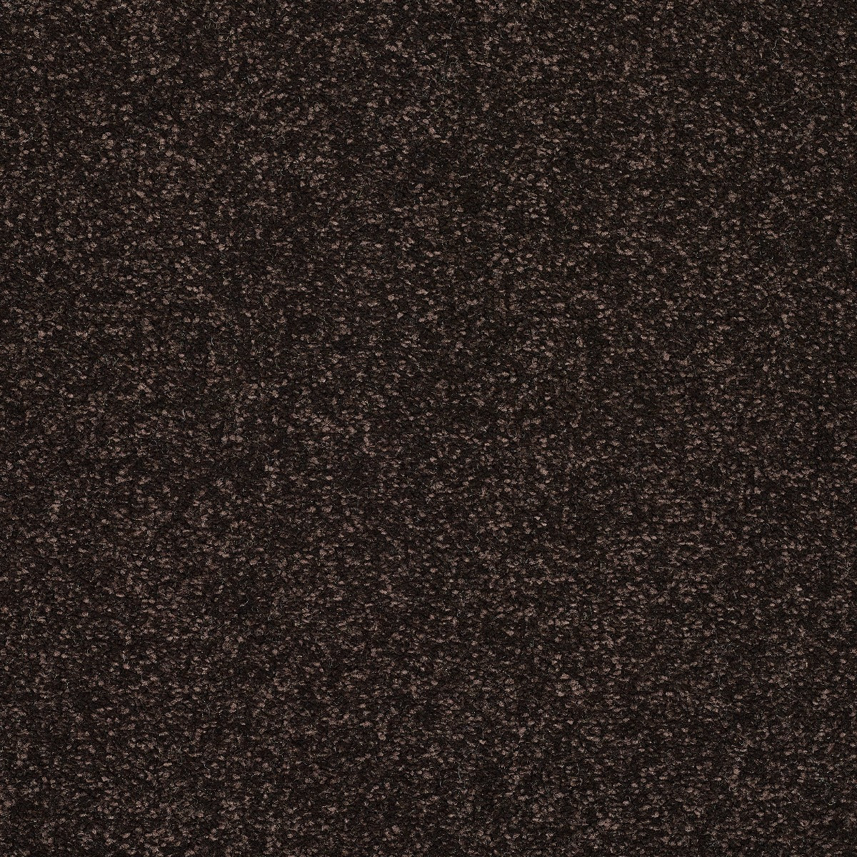 Finesse Carpet
