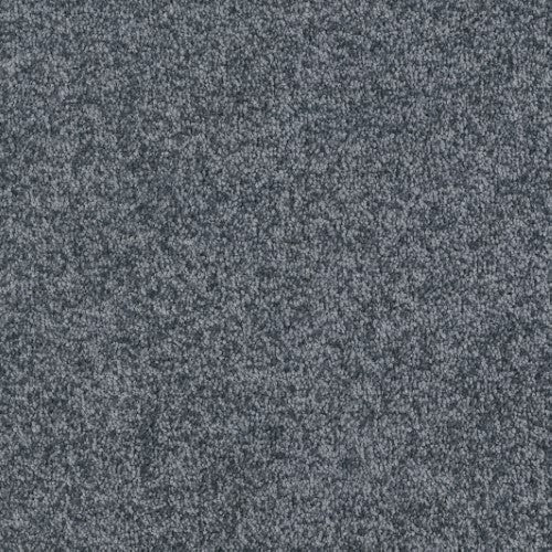 New Ambience Carpet