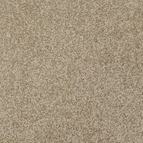 New Ambience Carpet