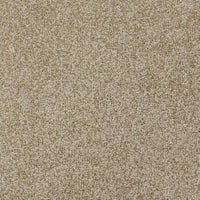 New Ambience Carpet