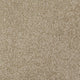 New Ambience Carpet