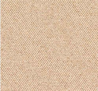 Garden Party Carpet