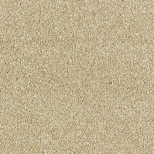 Aphrodite Plus Carpet