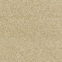 Aphrodite Plus Carpet