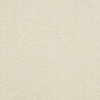 Smart Atilius Carpet