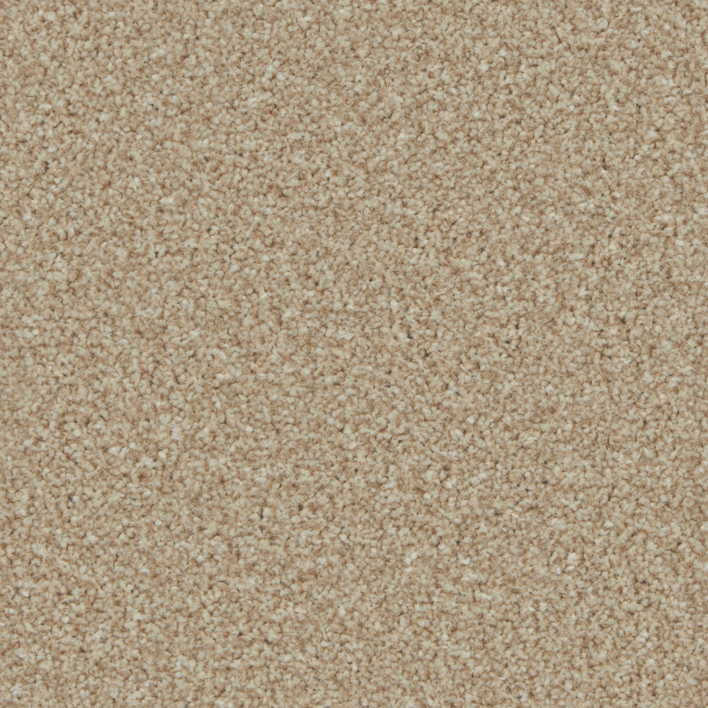 Portmore Elite 42oz Carpet