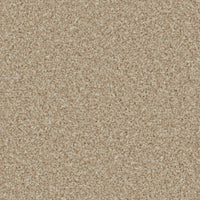 Portmore Elite 42oz Carpet