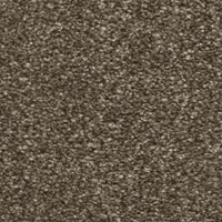 Hudson Carpet