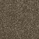 Hudson Carpet