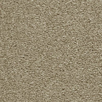 Hudson Carpet