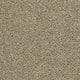Hudson Carpet