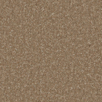Portmore Classic 34oz Carpet