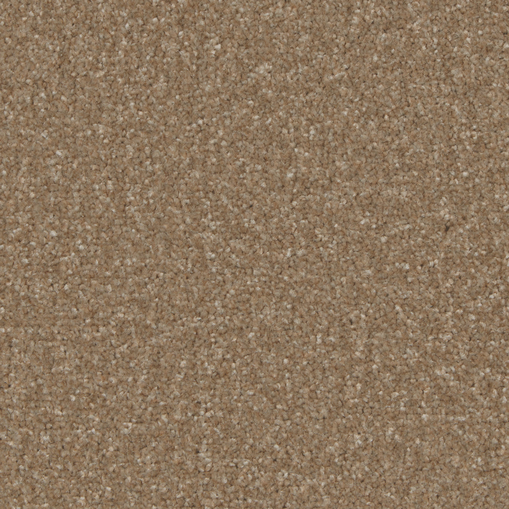 Portmore Elite 42oz Carpet