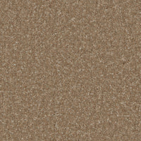 Portmore Elite 42oz Carpet