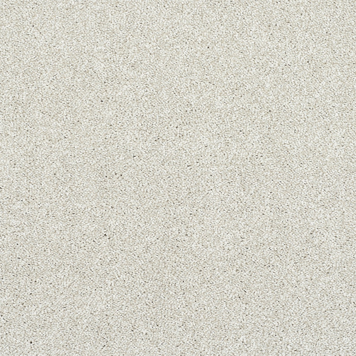 Finesse Carpet
