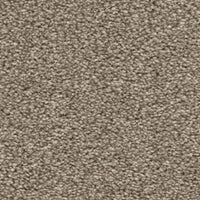 Hudson Carpet