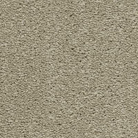 Hudson Carpet