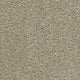 Hudson Carpet