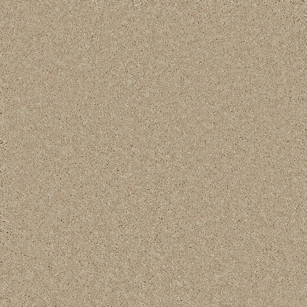 Bliss Carpet