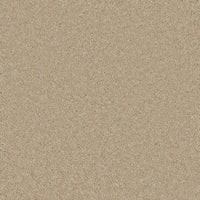Bliss Carpet