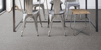Invictus Cassius 70oz Carpet